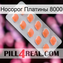 Носорог Платины 8000 26